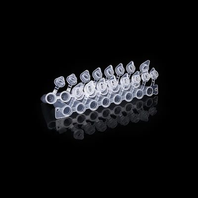 Купол сформировал прокладку трубки 8 PCR крышек 0.2ml с прикрепленной трубой PCR 8 крышки соединенной